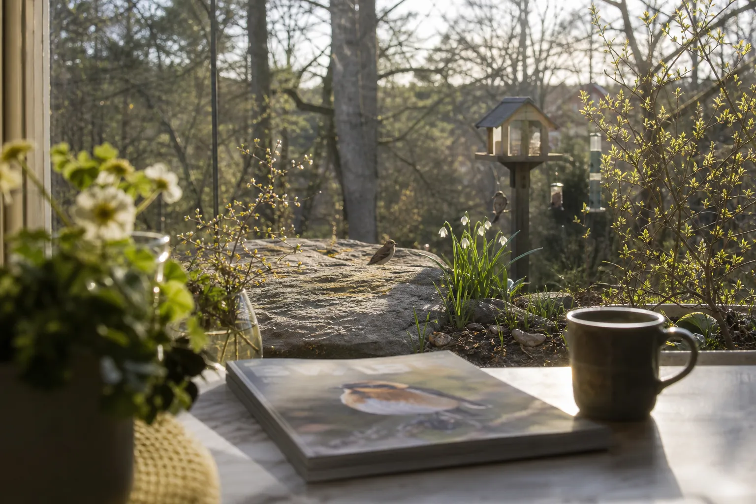 Uppslag ur en naturtidning med landskapsbild och reportage om djurliv